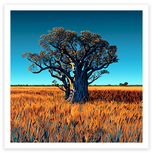 art print of a boab tree in Australia