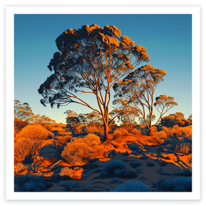 art print of a giant eucalyptus tree in the afternoon sun, australia