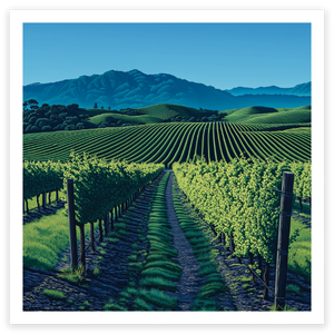 art print of Hunter Valley vineyard NSW Australia