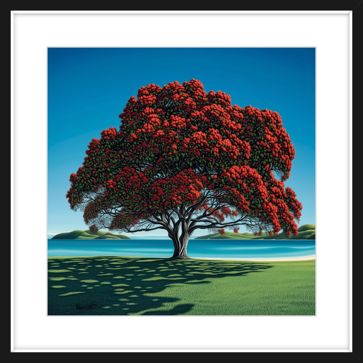 Pohutukawa