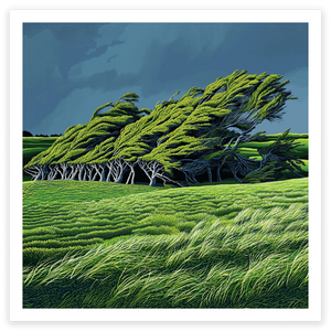 art print of trees bent by wind, new zealand