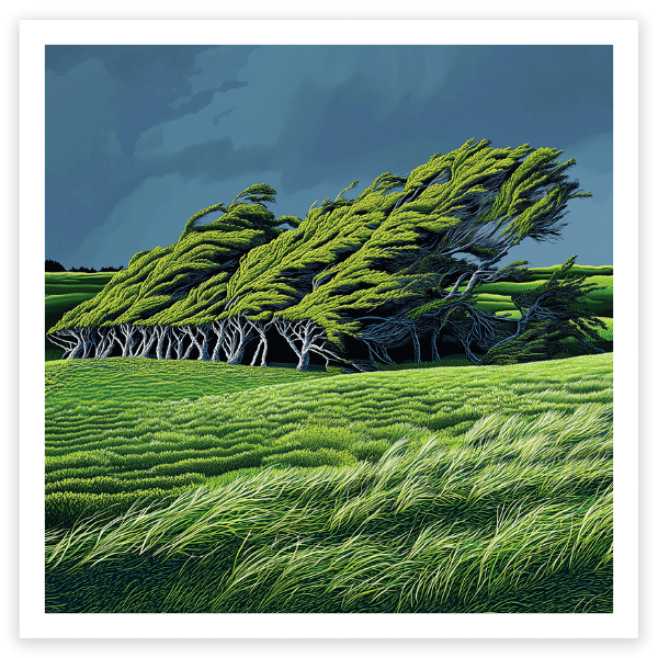 art print of trees bent by wind, new zealand