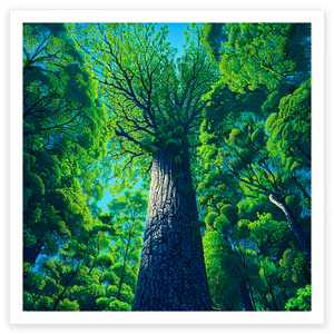 art print of new zealand's largest kauri tree, tane mahuta, northland