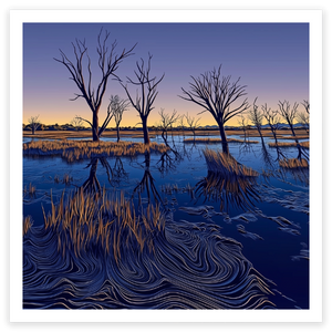 art print of trees in winton wetlands, chesney vale, Victoria, Australia